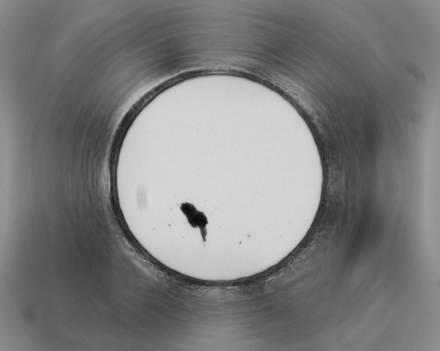 X0000114230936200911061525