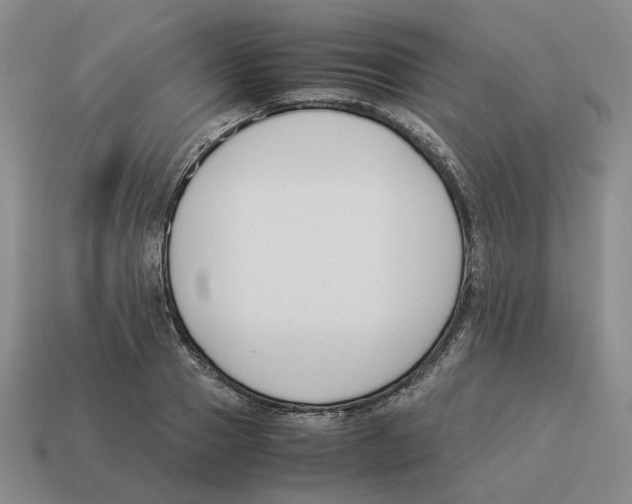 X0000114230937200911061525