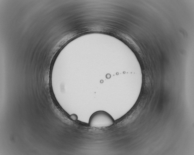 X0000114230938200911061525