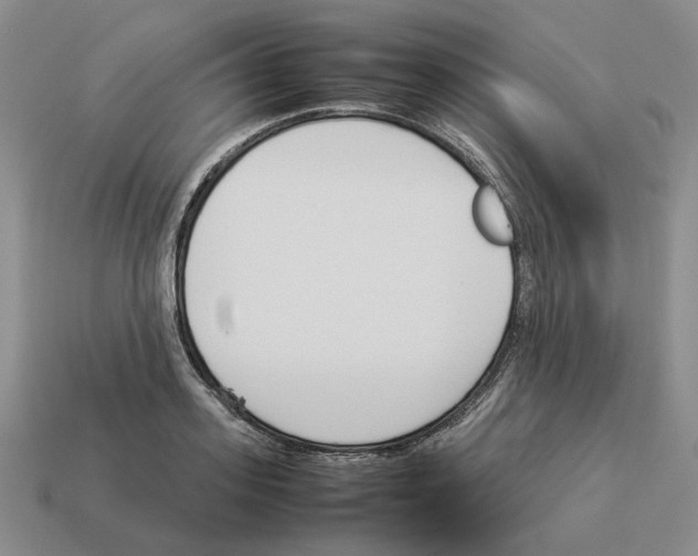 X0000114230939200911061525