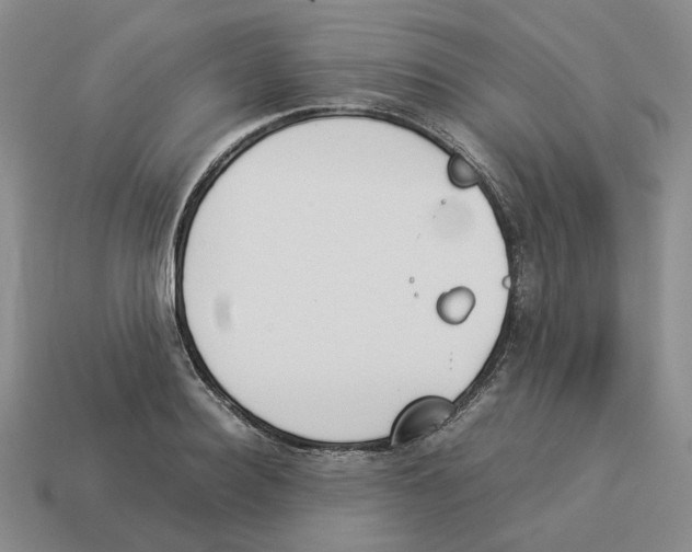 X0000114230940200911061525