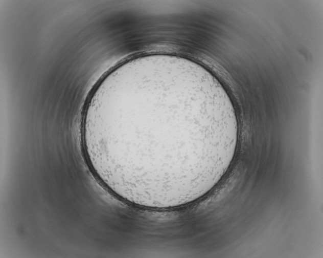 X0000114230941200911061525
