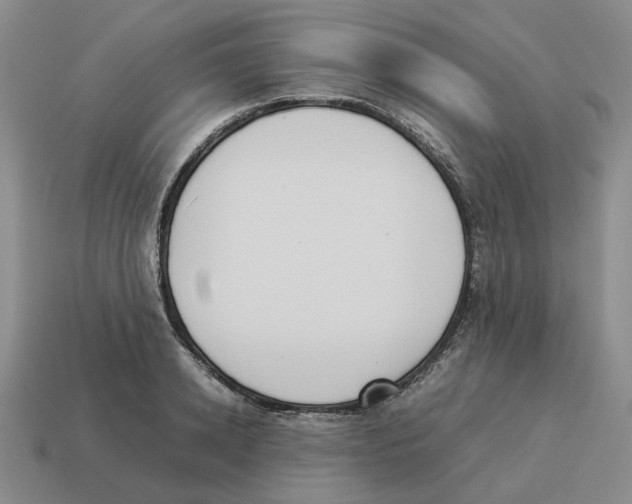 X0000114230942200911061525