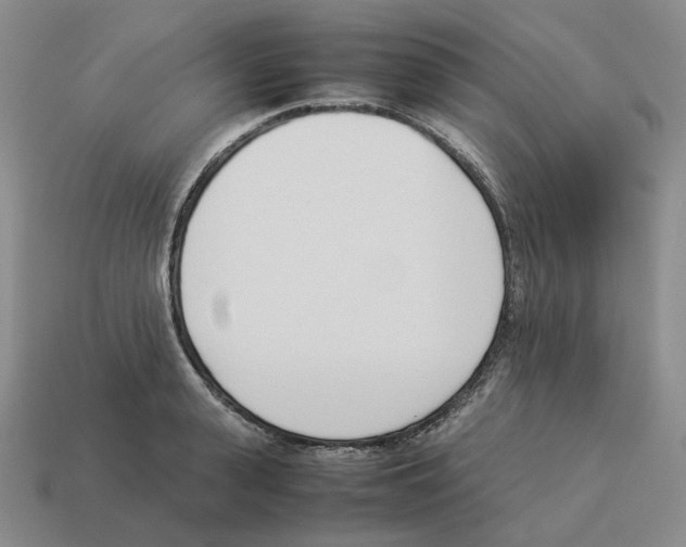 X0000114230943200911061525