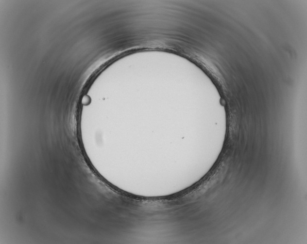 X0000114230944200911061525