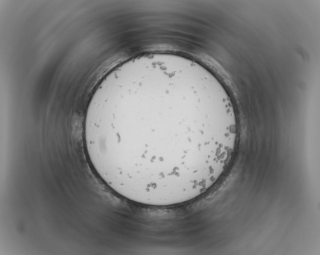 X0000114230945200911061525