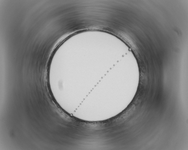 X0000114230948200911061525