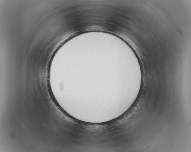 X0000114230949200911061525