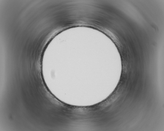 X0000114230950200911061525