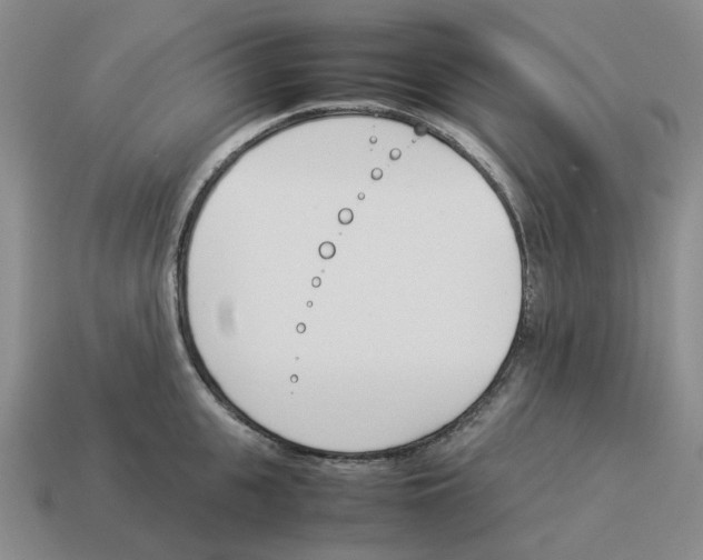 X0000114230951200911061525