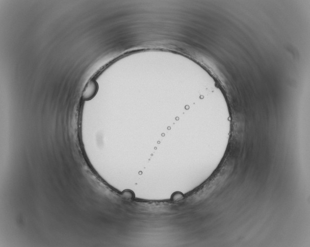 X0000114230952200911061525
