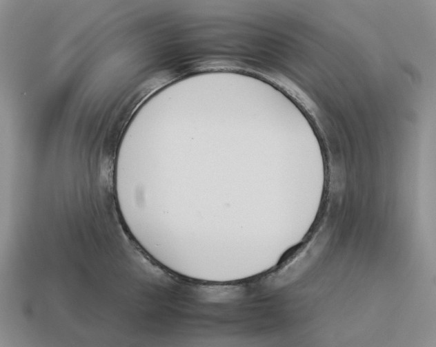 X0000114230953200911061525