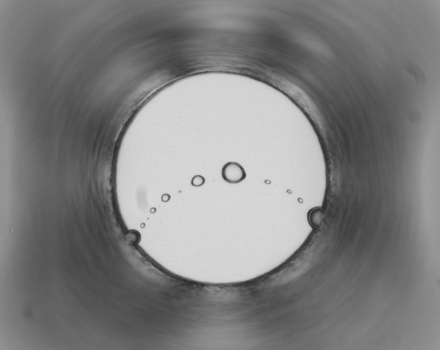 X0000114230954200911061525