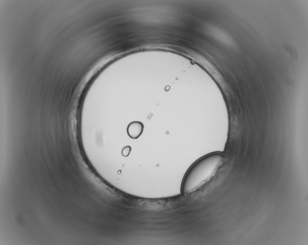 X0000114230955200911061525