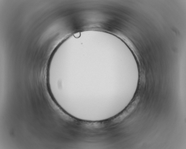 X0000114230957200911061525