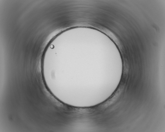 X0000114230958200911061525