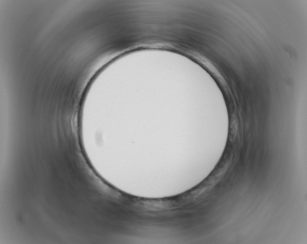X0000114230959200911061525