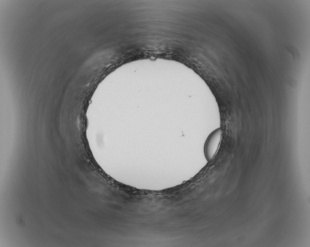 X0000114230961200911061524