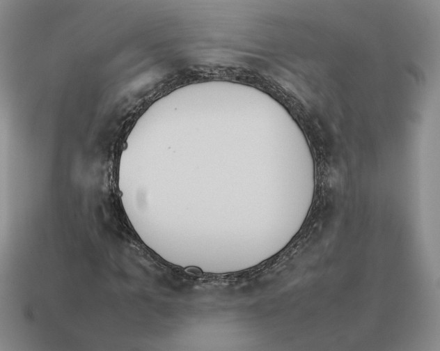 X0000114230965200911061524