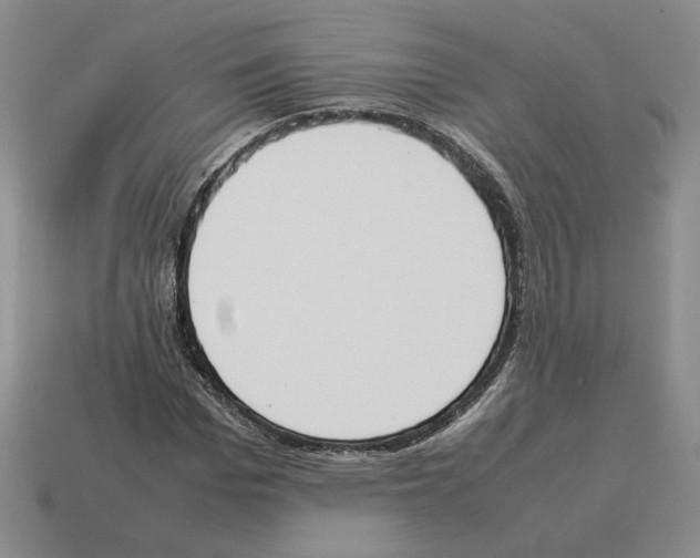 X0000114230969200911061524