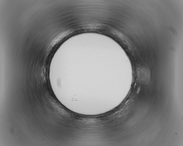X0000114230970200911061524
