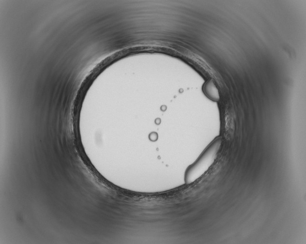 X0000114230972200911061524