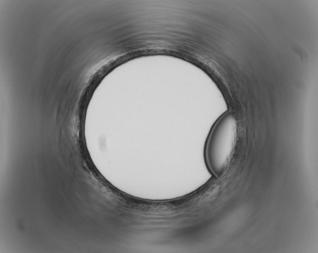 X0000114230979200911061524