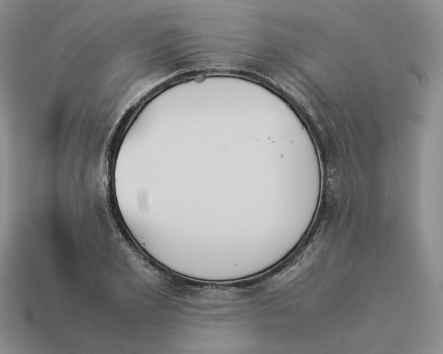 X0000114230981200911061524