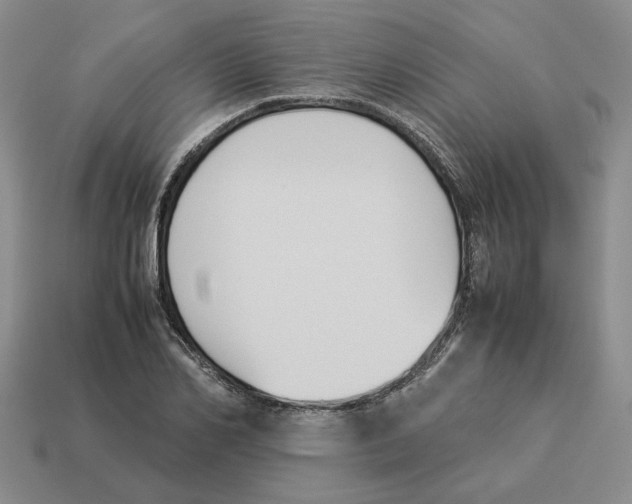 X0000114230982200911061524