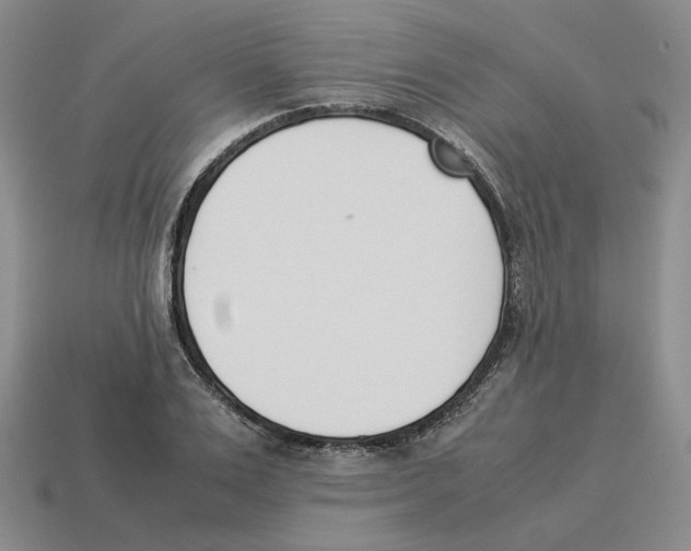 X0000114230983200911061524