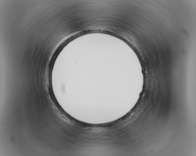 X0000114230984200911061524
