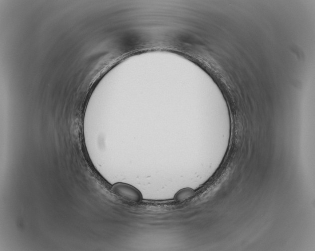 X0000114230985200911061524