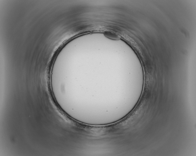X0000114230989200911061524