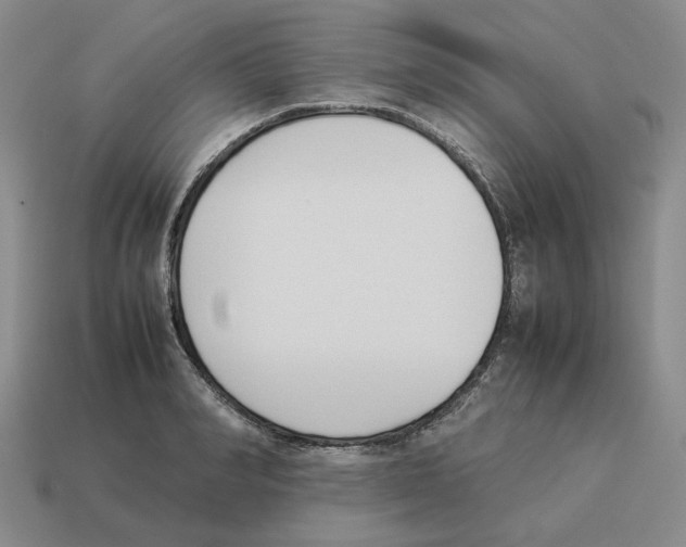 X0000114230990200911061524