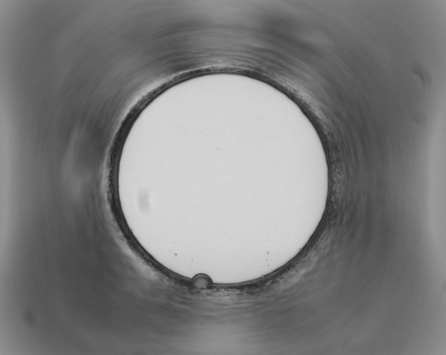X0000114230991200911061524