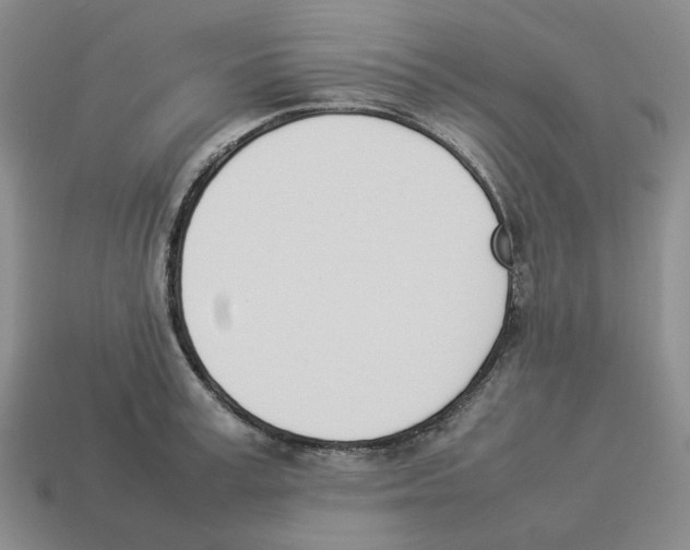 X0000114230995200911061524