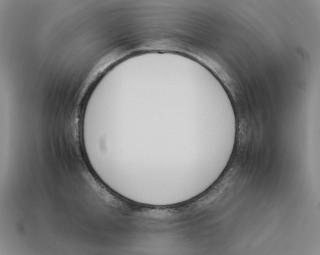 X0000114230998200911061524