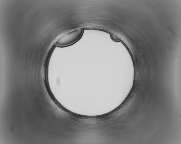 X0000114230999200911061524