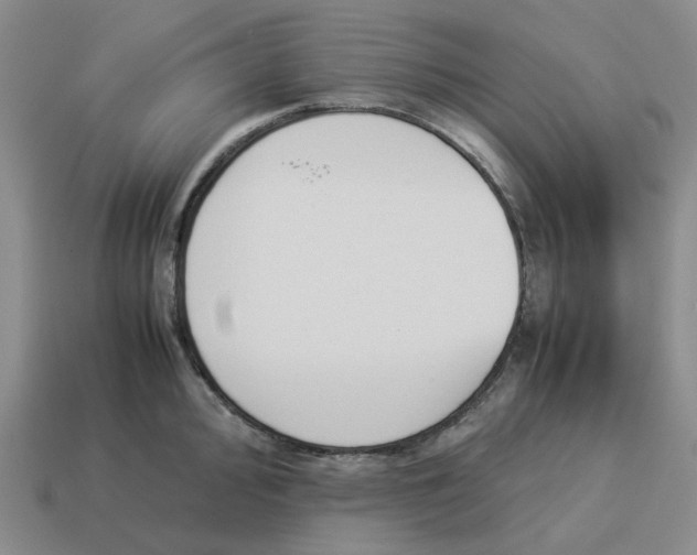 X0000114231000200911061524