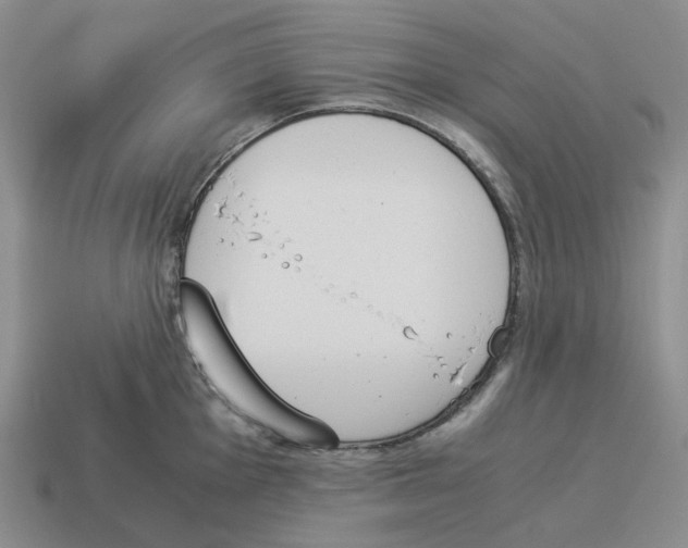 X0000114231001200911061524