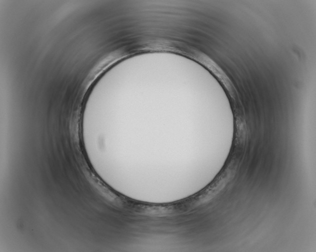 X0000114231002200911061524