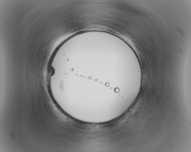 X0000114231003200911061524