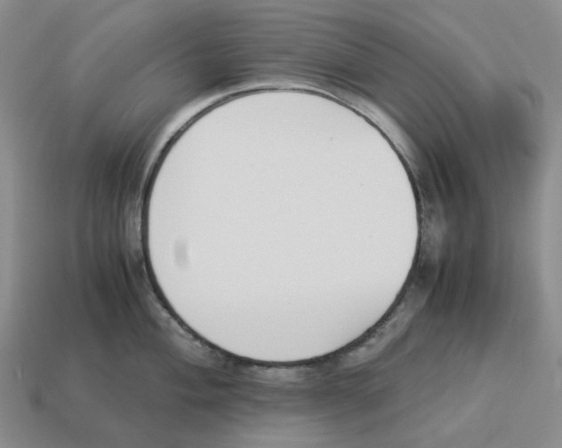 X0000114231004200911061524