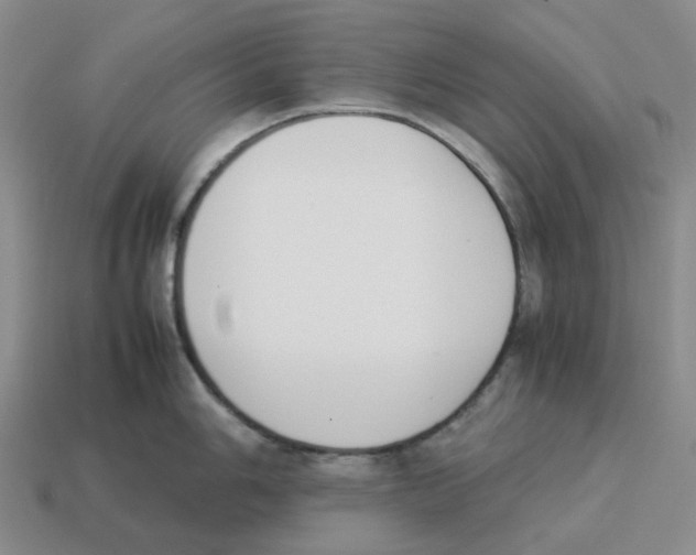 X0000114231006200911061524