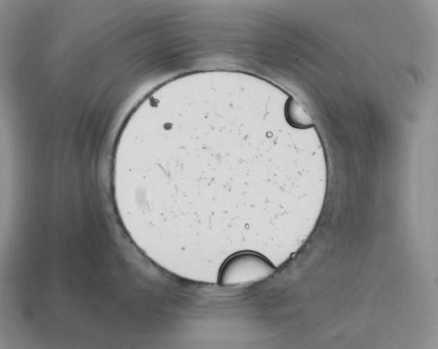X0000114231008200911061524