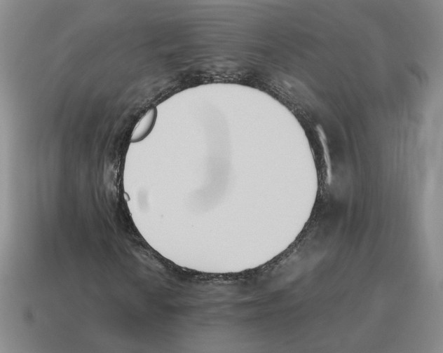 X0000114231010200911061523