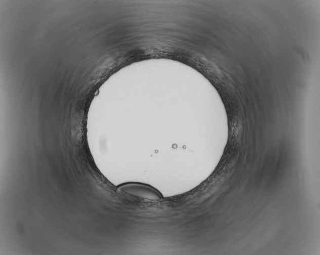 X0000114231012200911061523