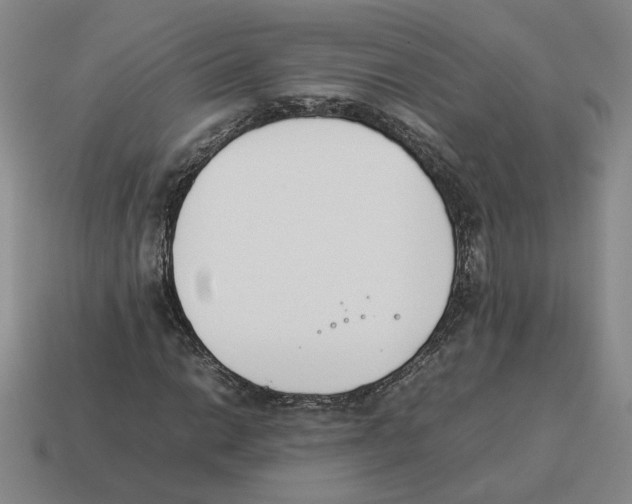 X0000114231014200911061523