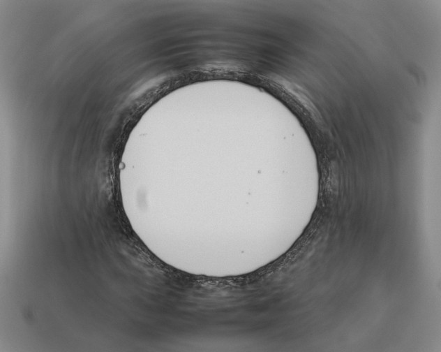 X0000114231015200911061523