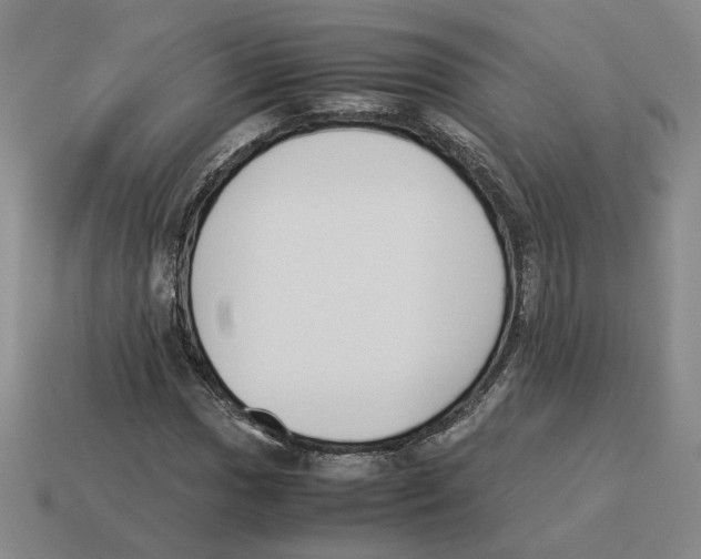 X0000114231017200911061523